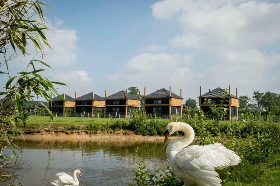 Camping Nieuw Romalo Voorthuizen Exteriér fotografie